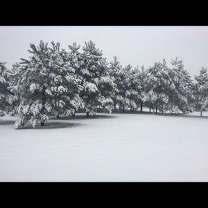 Meet your Posher, Carlye